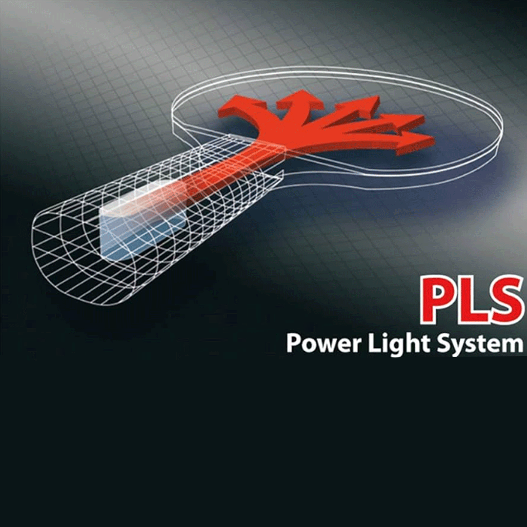 PingPong Table Tennis Racket Donic Premium Gold (Made in Germany)