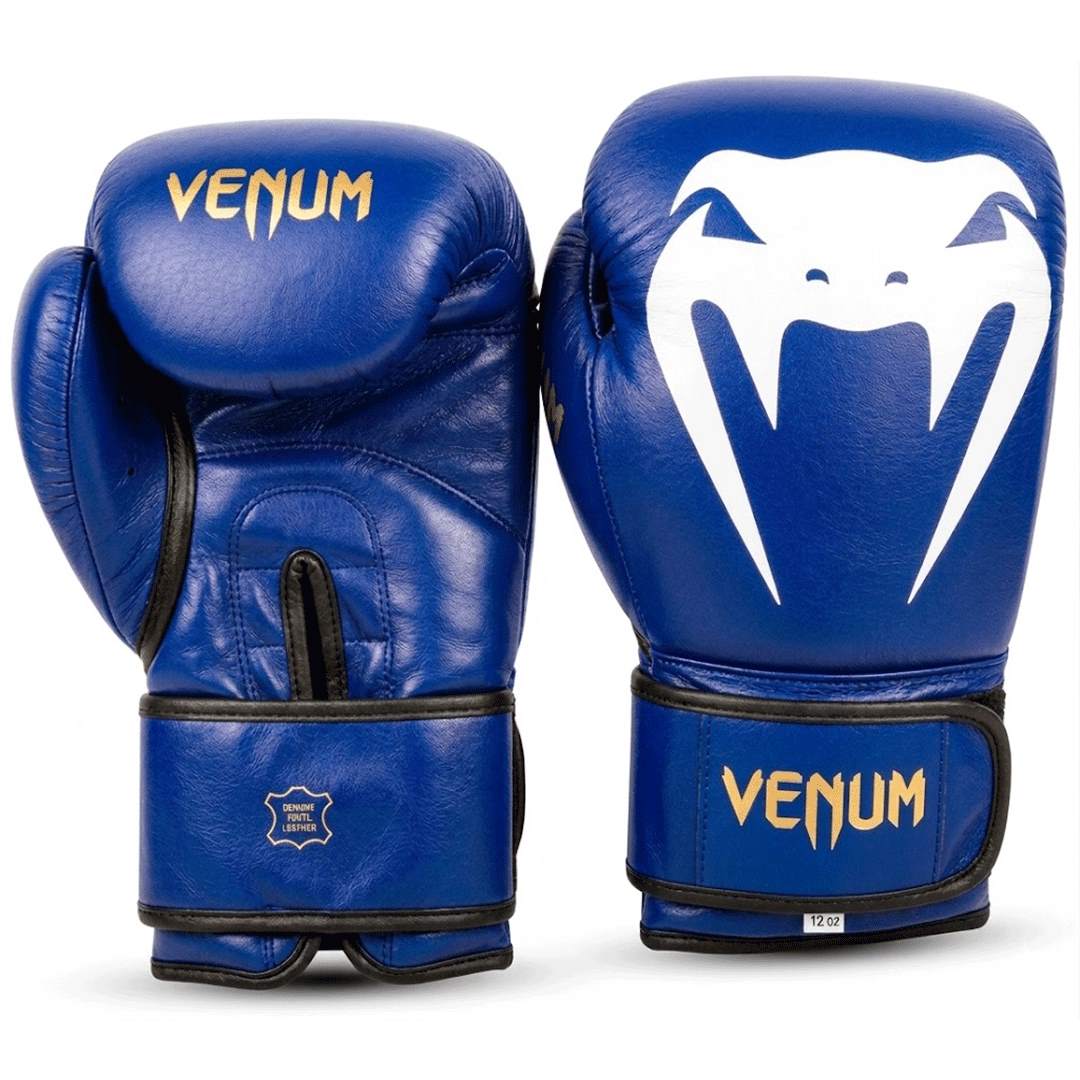 Professional Limited Edition Boxing Gloves Premium Blue