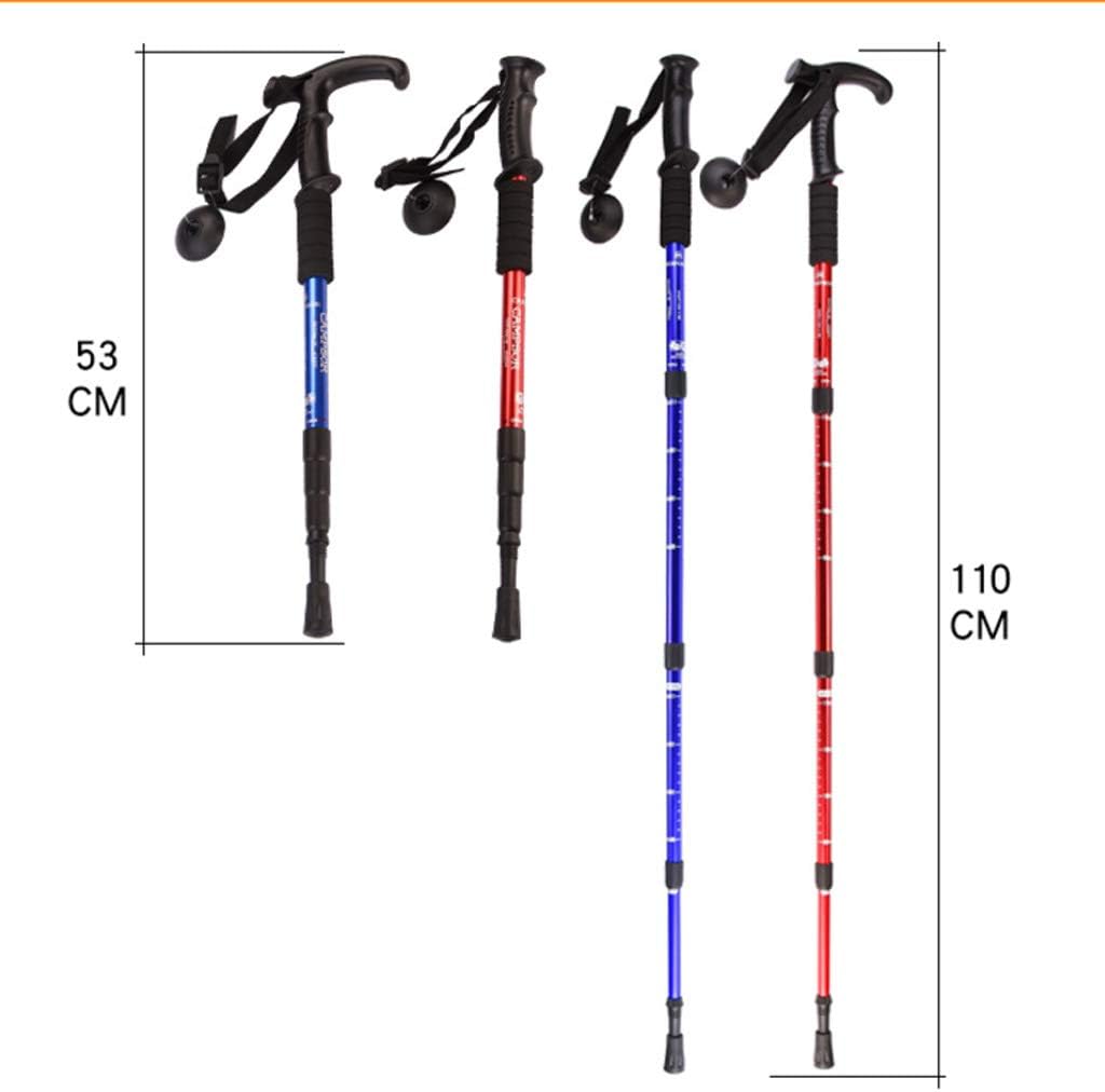 Hiking Bag + Hiking Stick Offer