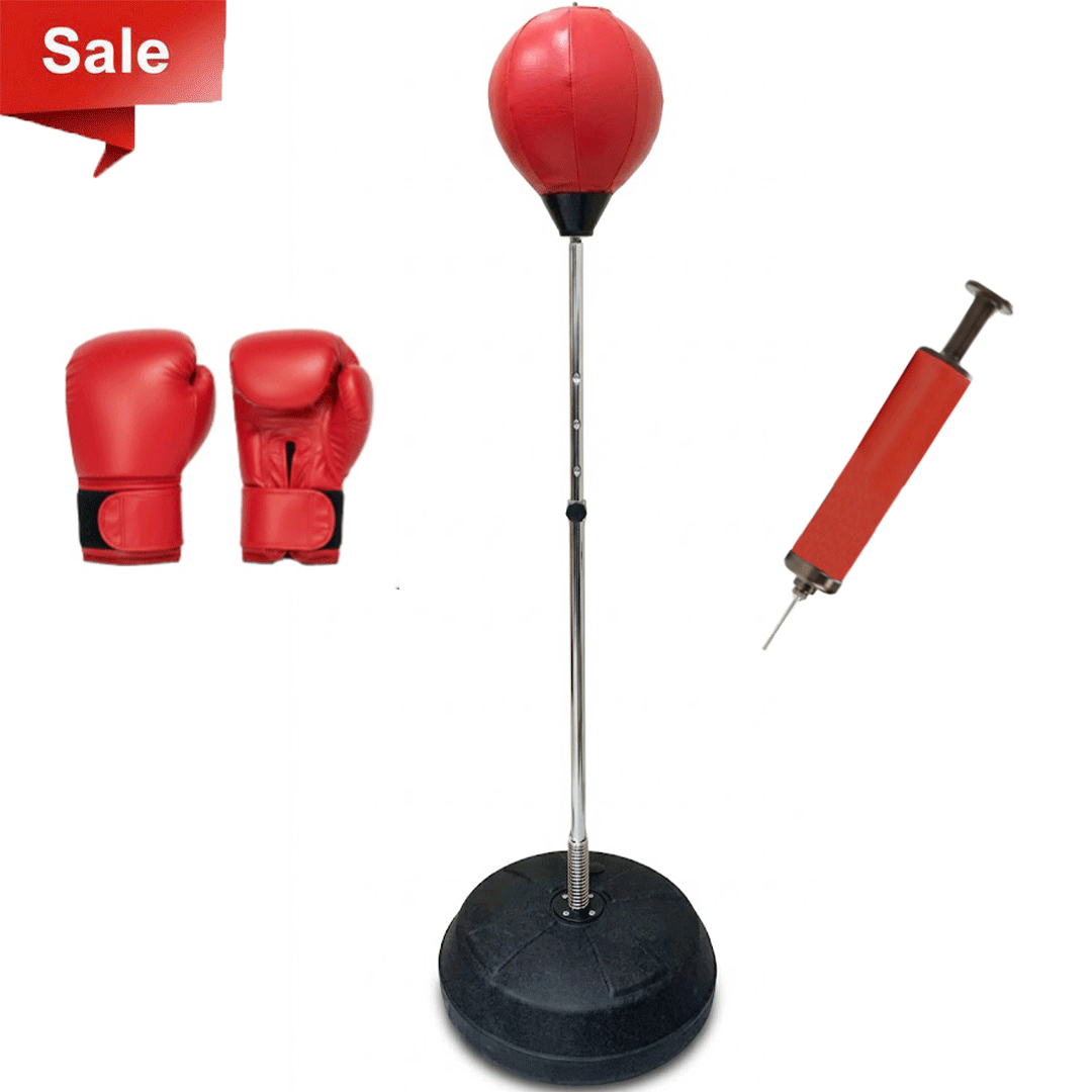 High Speed Punching Bag + Gloves