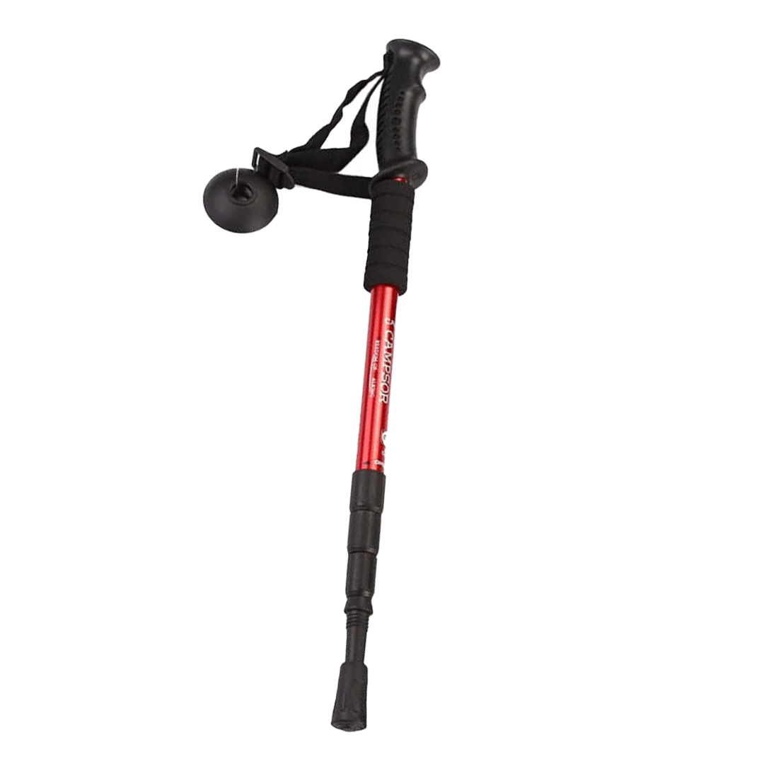 Hiking Bag + Hiking Stick Offer